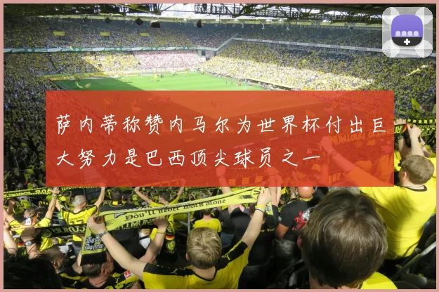 萨内蒂称赞内马尔为世界杯付出巨大努力是巴西顶尖球员之一